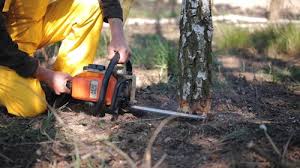 Best Lawn Grading and Leveling  in Mccleary, WA
