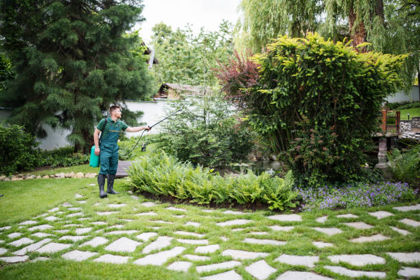 Best Emergency Tree Removal  in Mccleary, WA